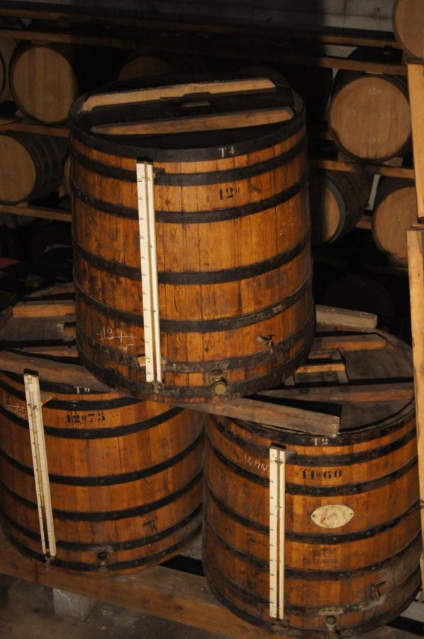 Chateau De Mons Armagnac Caussens المظهر الخارجي الصورة