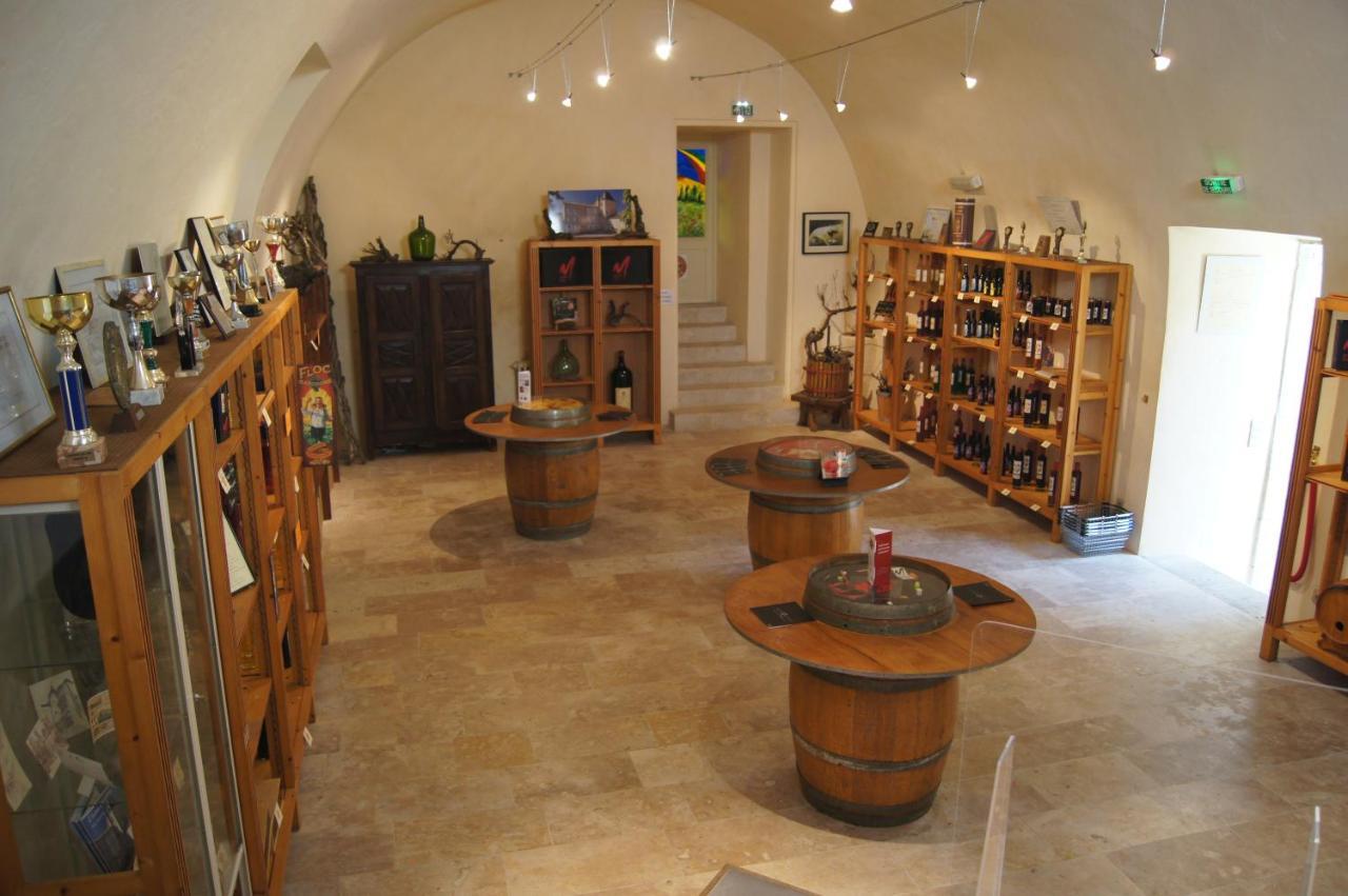 Chateau De Mons Armagnac Caussens المظهر الخارجي الصورة