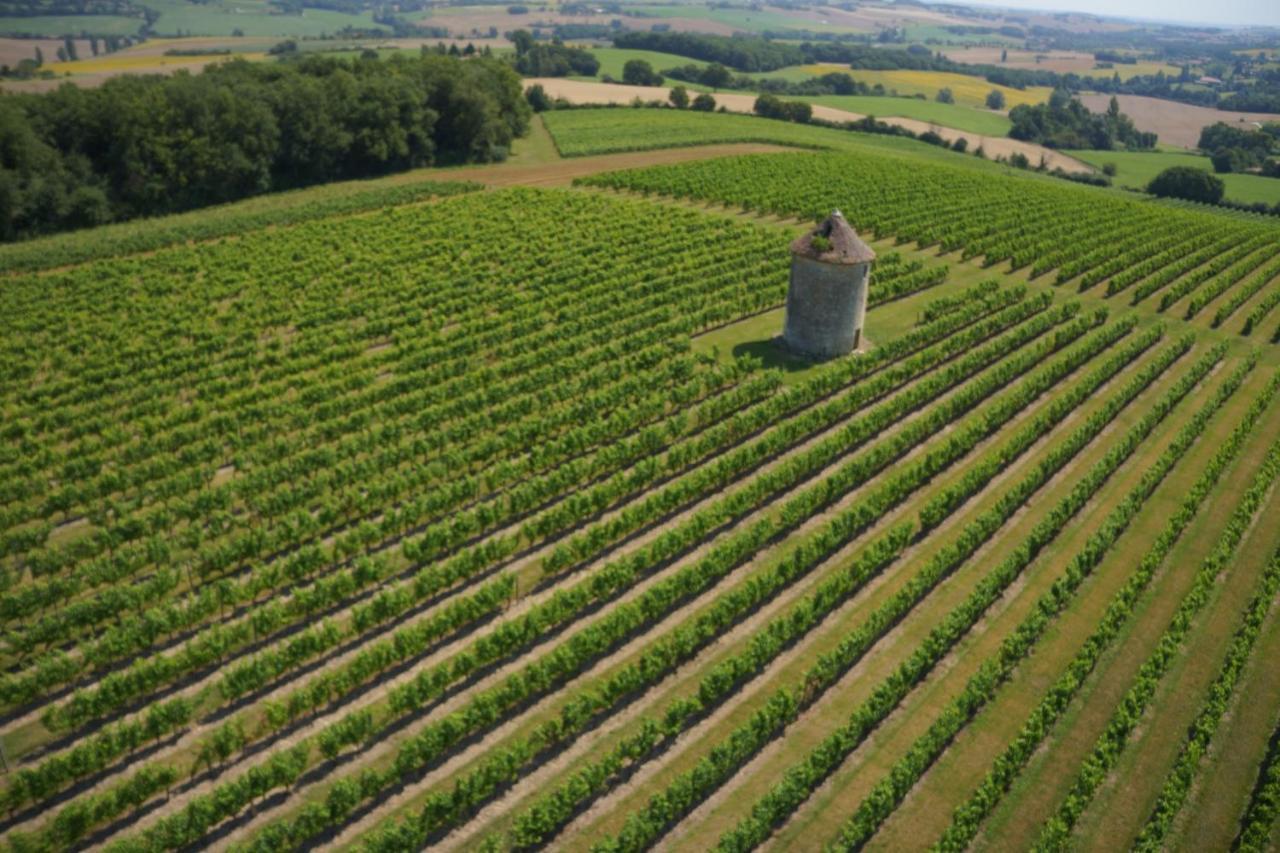 Chateau De Mons Armagnac Caussens المظهر الخارجي الصورة