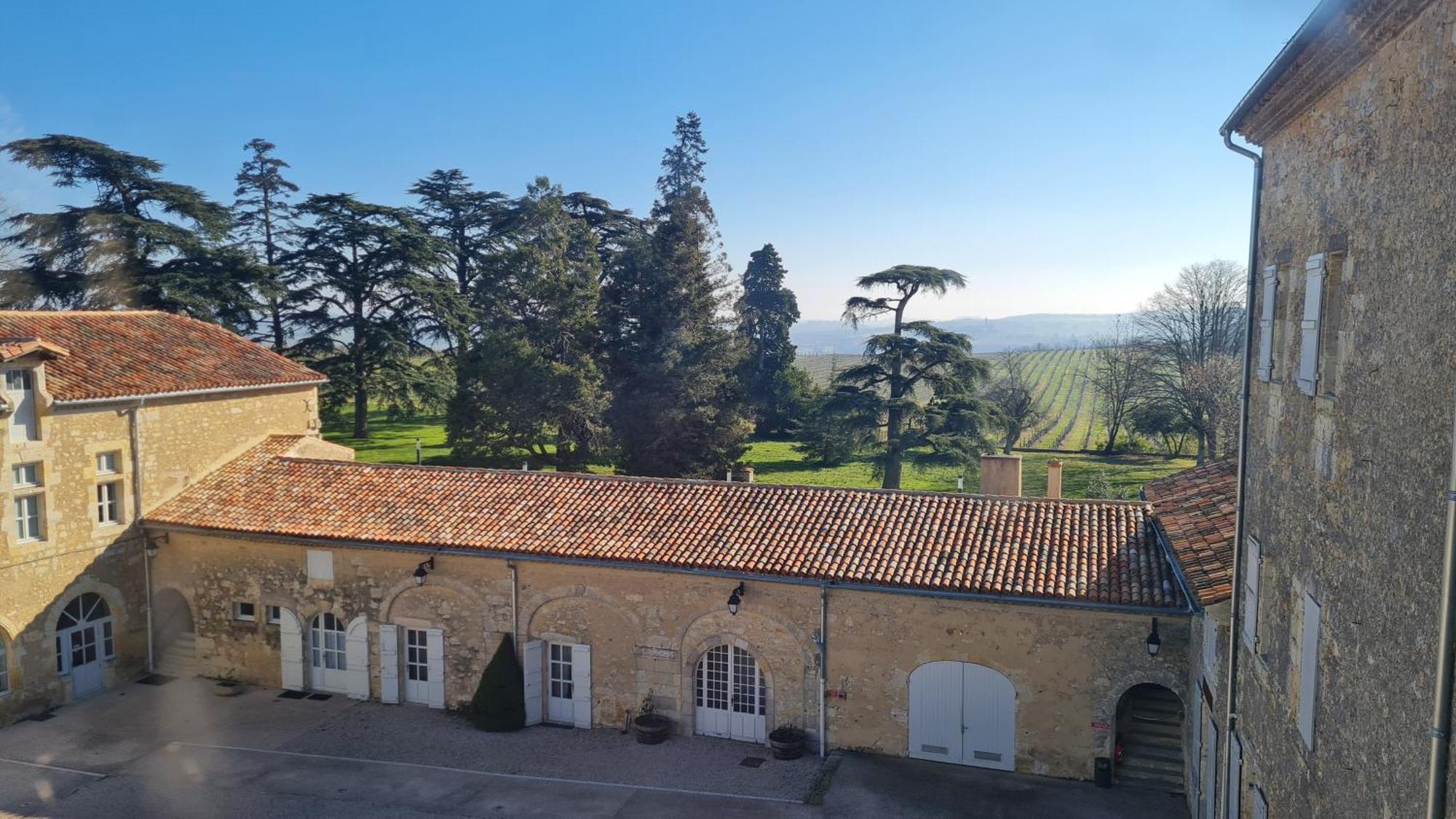 Chateau De Mons Armagnac Caussens المظهر الخارجي الصورة